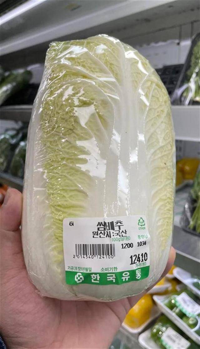 白菜价格飙升韩国再现“泡菜危机”？在韩留学生：最贵时一公斤卖到60多元