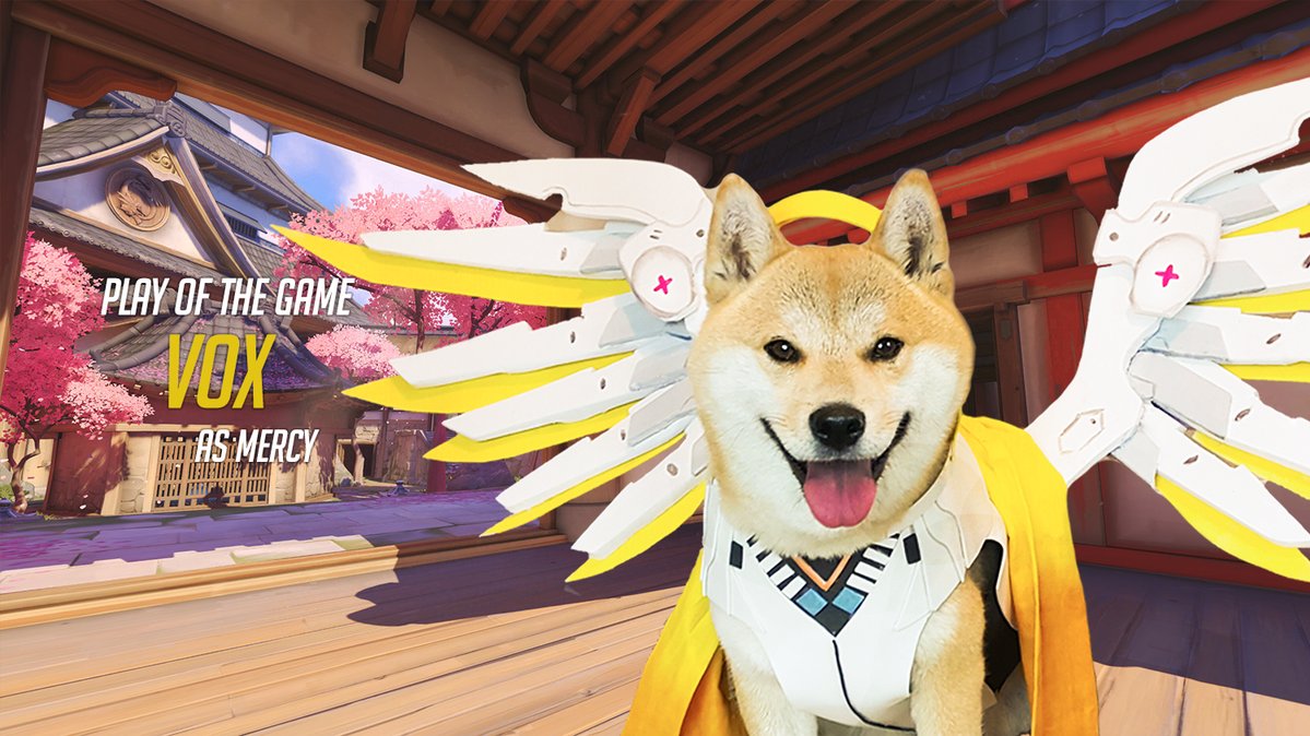 DOGE(2023狗狗币会暴涨吗)