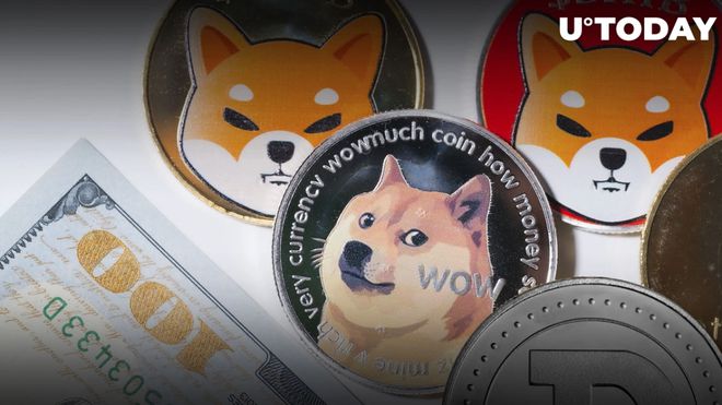 DOGE币(doge币交流群)