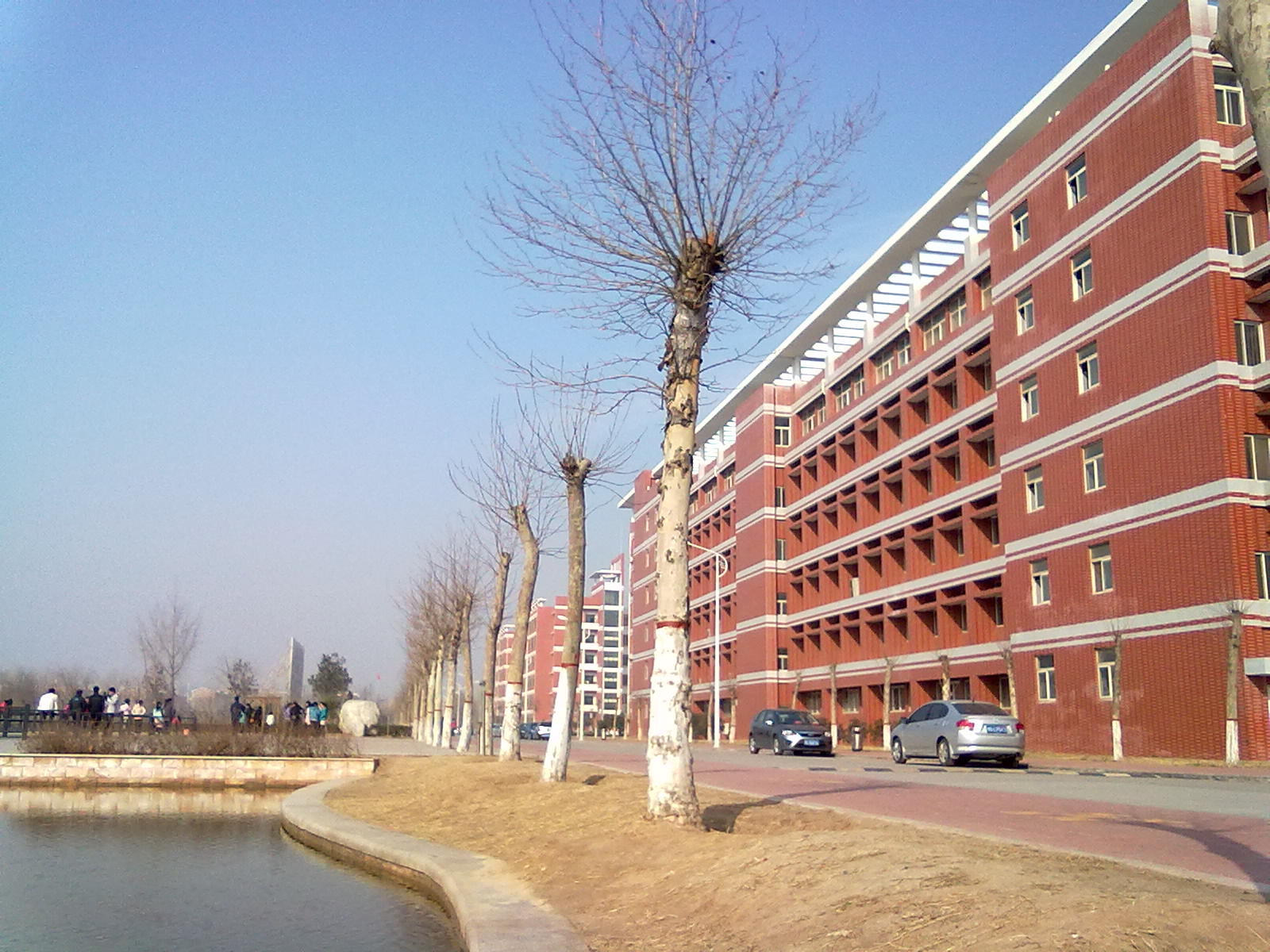 新手学院(新手学钢琴)