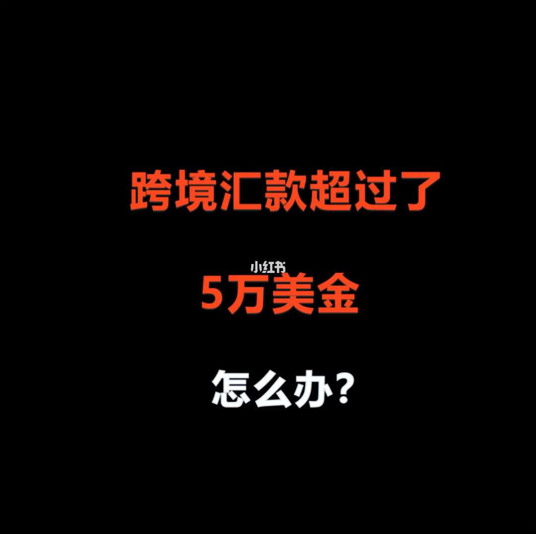 外汇额度公司(外汇额度公司怎么查)