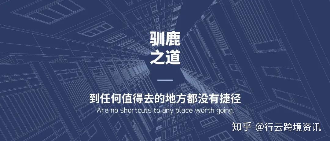 考拉外汇(考拉交易所)
